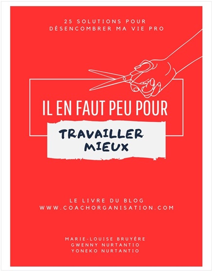 Il en faut peu pour travailler mieux. 25 solutions pour désencombrer ma vie pro Il en faut peu pour travailler mieux. 25 solutions pour désencombrer ma vie pro